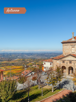 LANGHE - DIANO D'ALBA